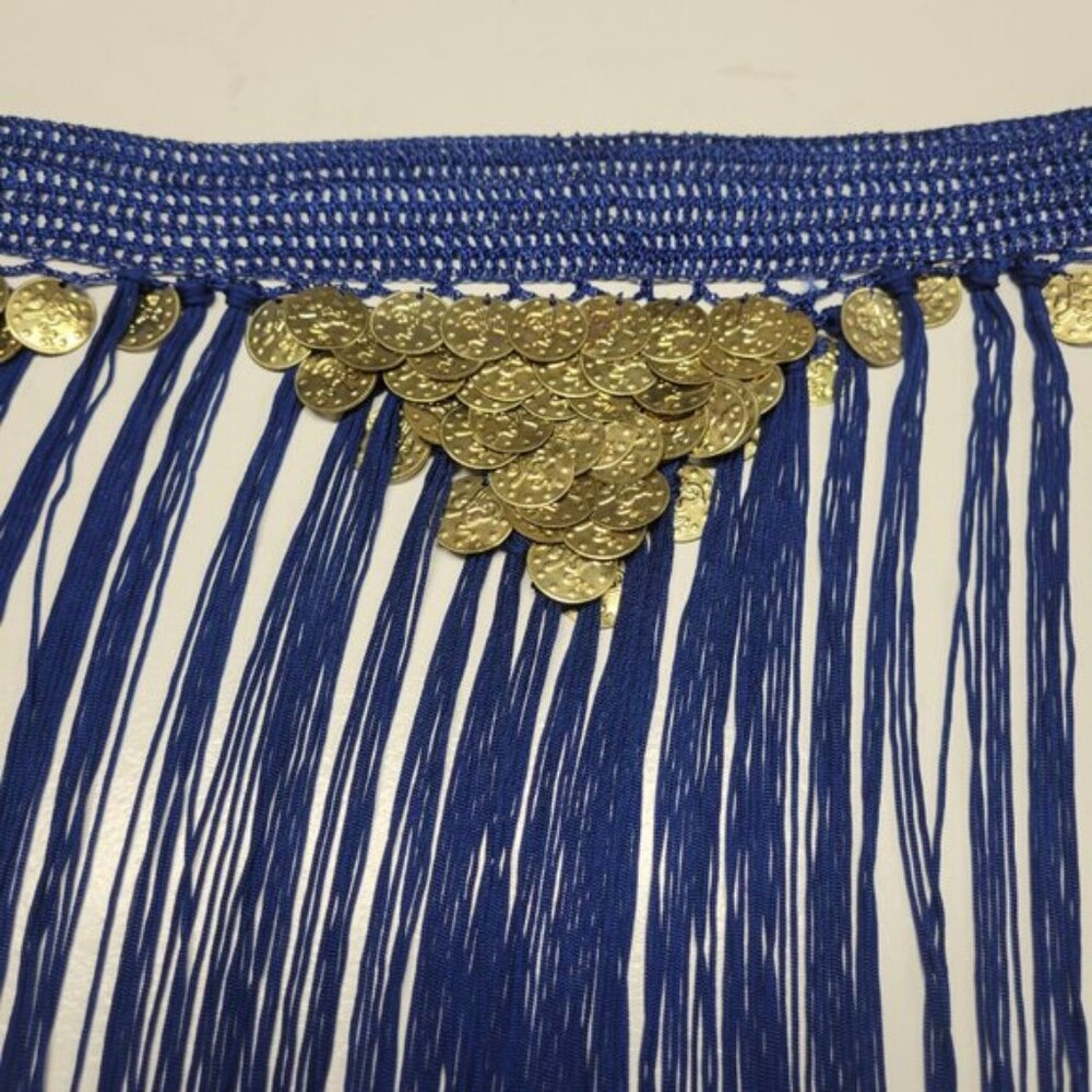 Hip Skirt Belly Dance Tassels Fringe Skirt Bellydance Coins and Fringe Hip Scarf - Picture 5 of 14